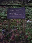 12.23.05 Elowah Falls 013 